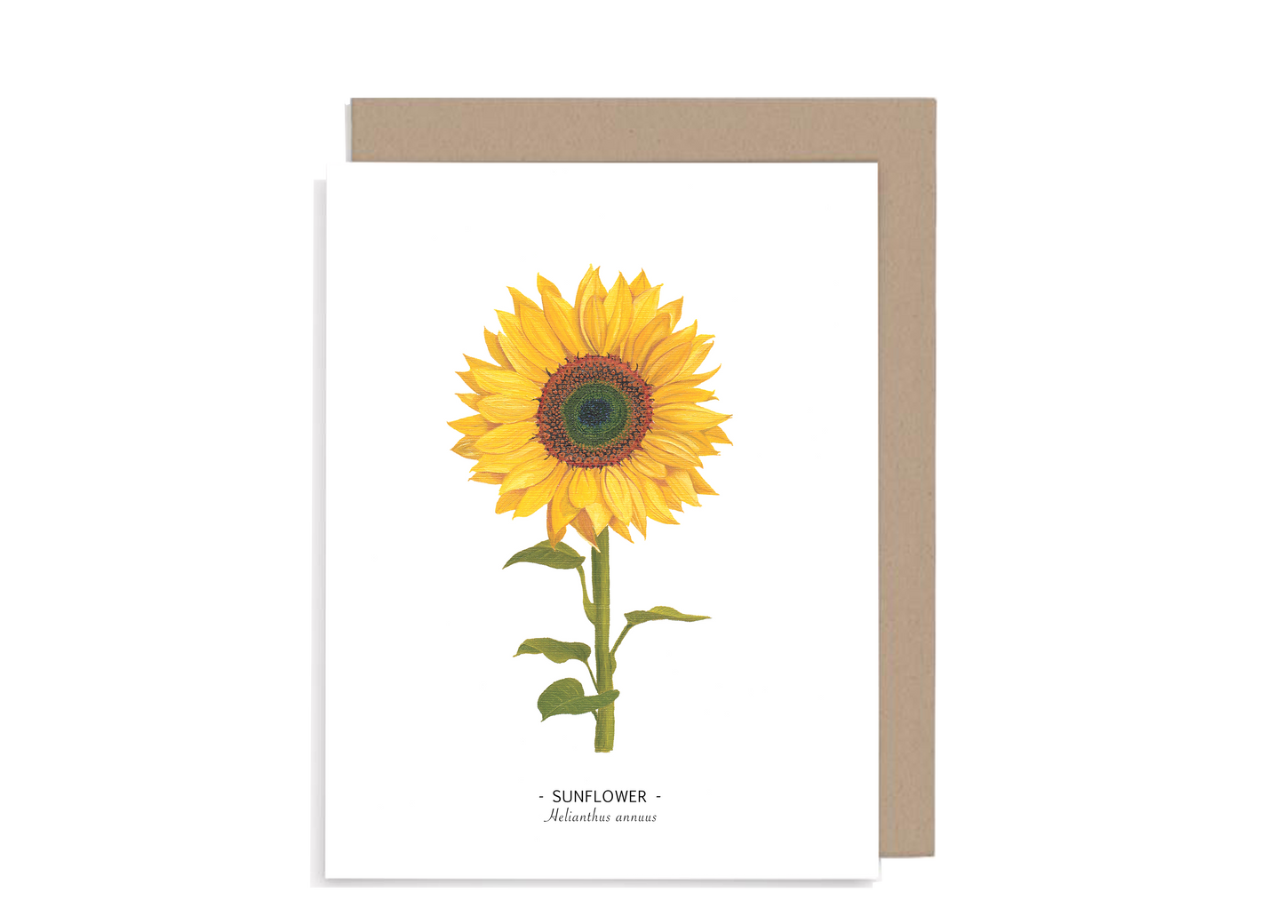 Floral Note Cards set of 8