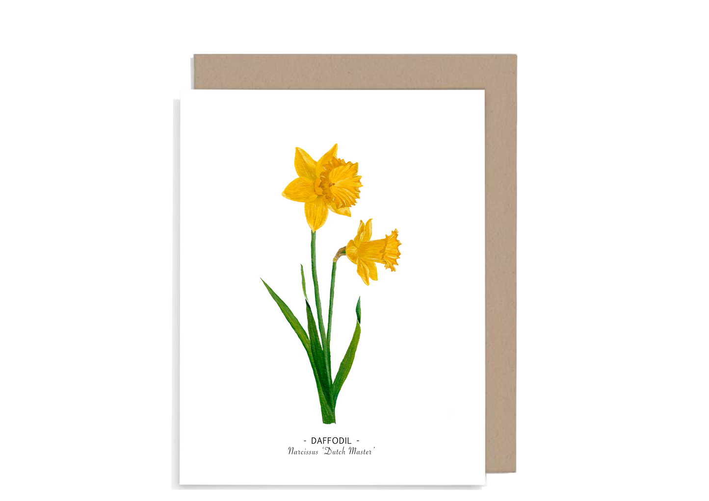 Floral Note Cards set of 8