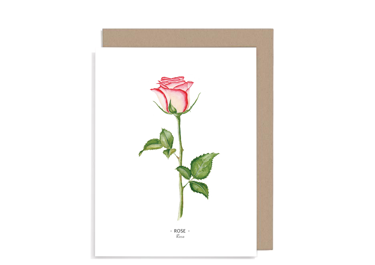 Floral Note Cards set of 8