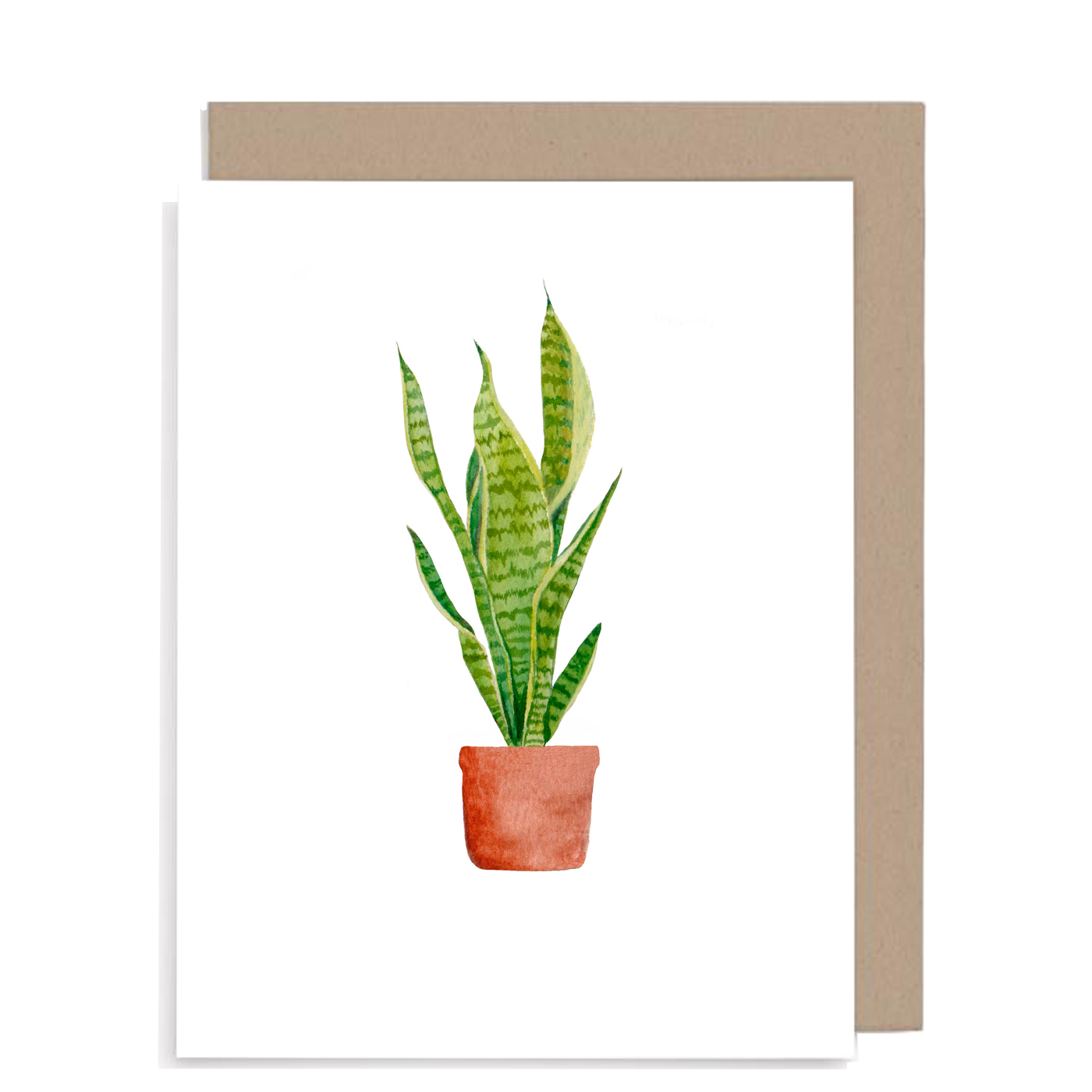 watercolor snake plant Snake plant – Ellie Rose Paints