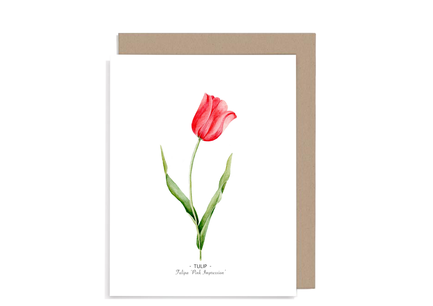 Floral Note Cards set of 8