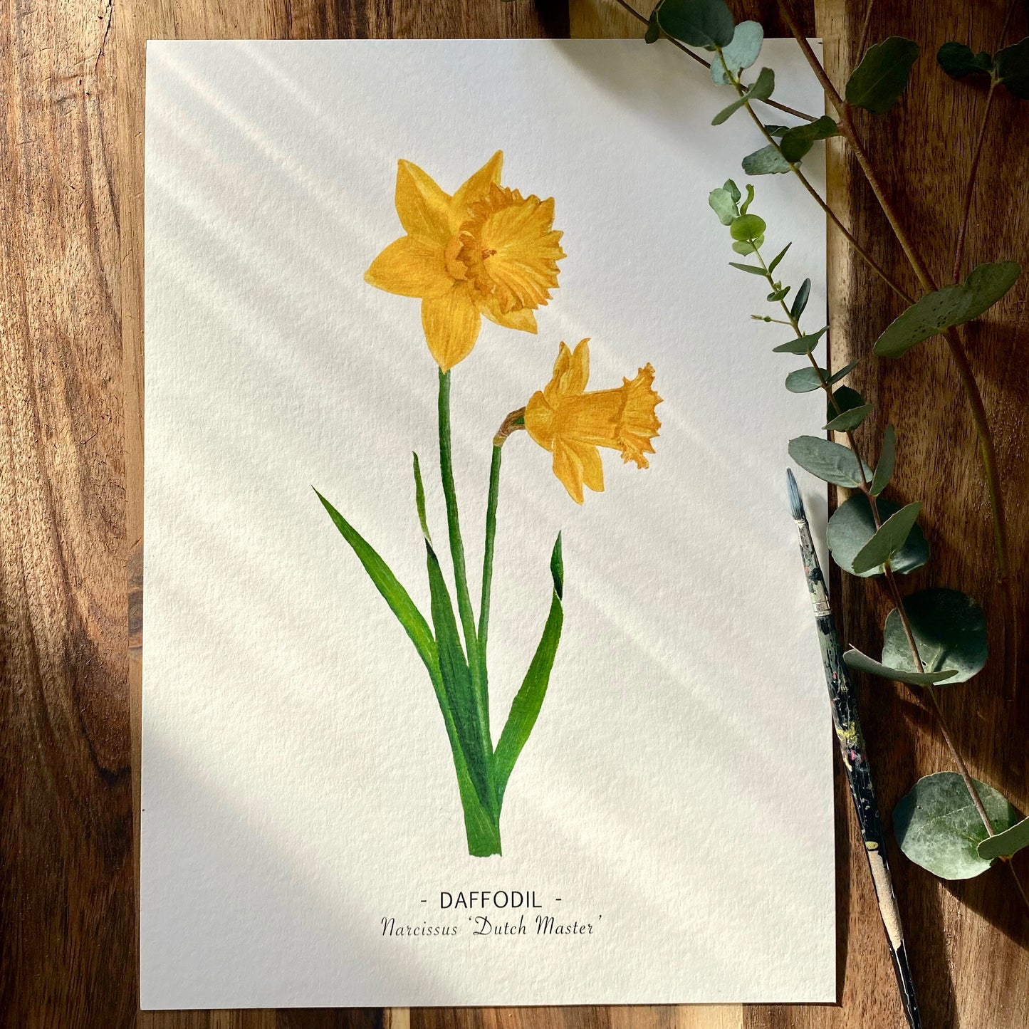 Daffodil print