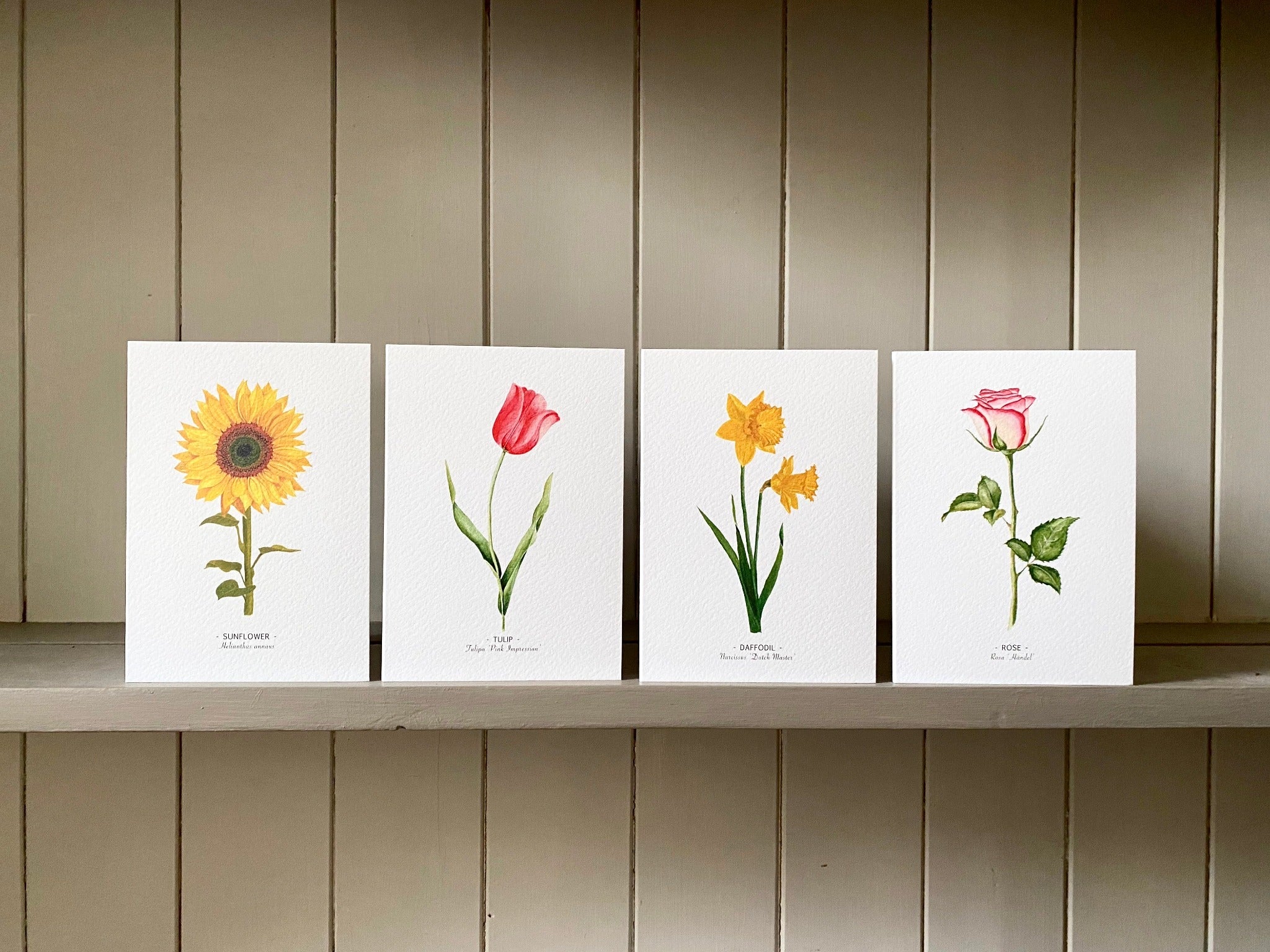 Floral Note Cards set of 8