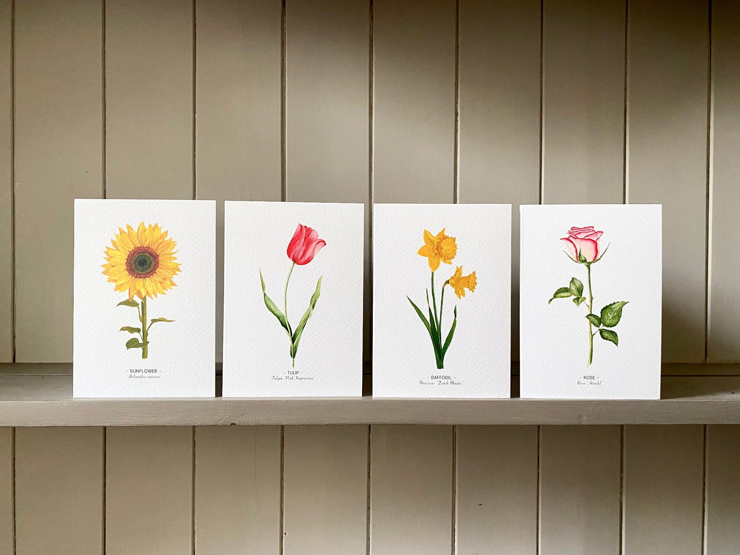 Floral Note Cards set of 8