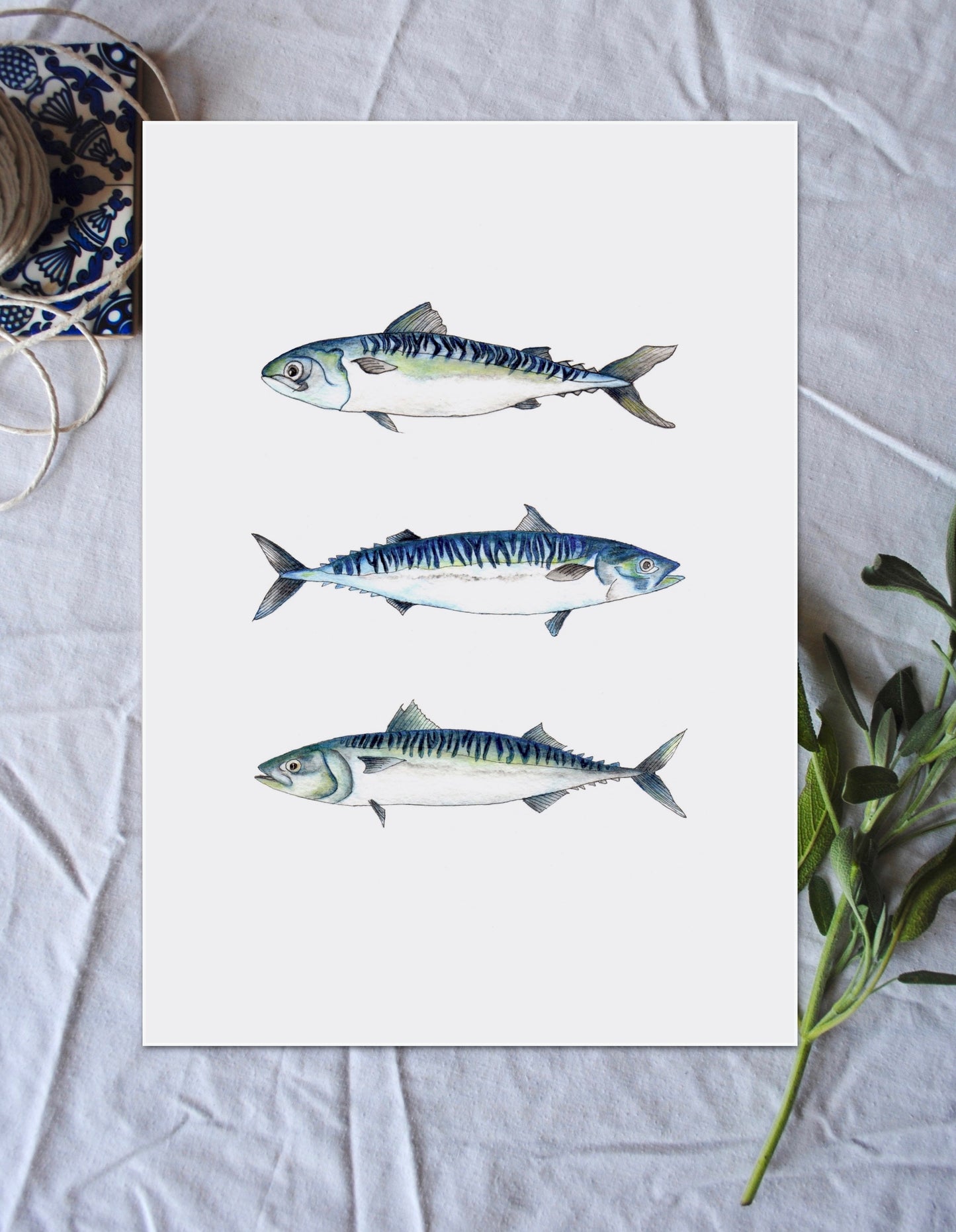 Mackerel Fish print