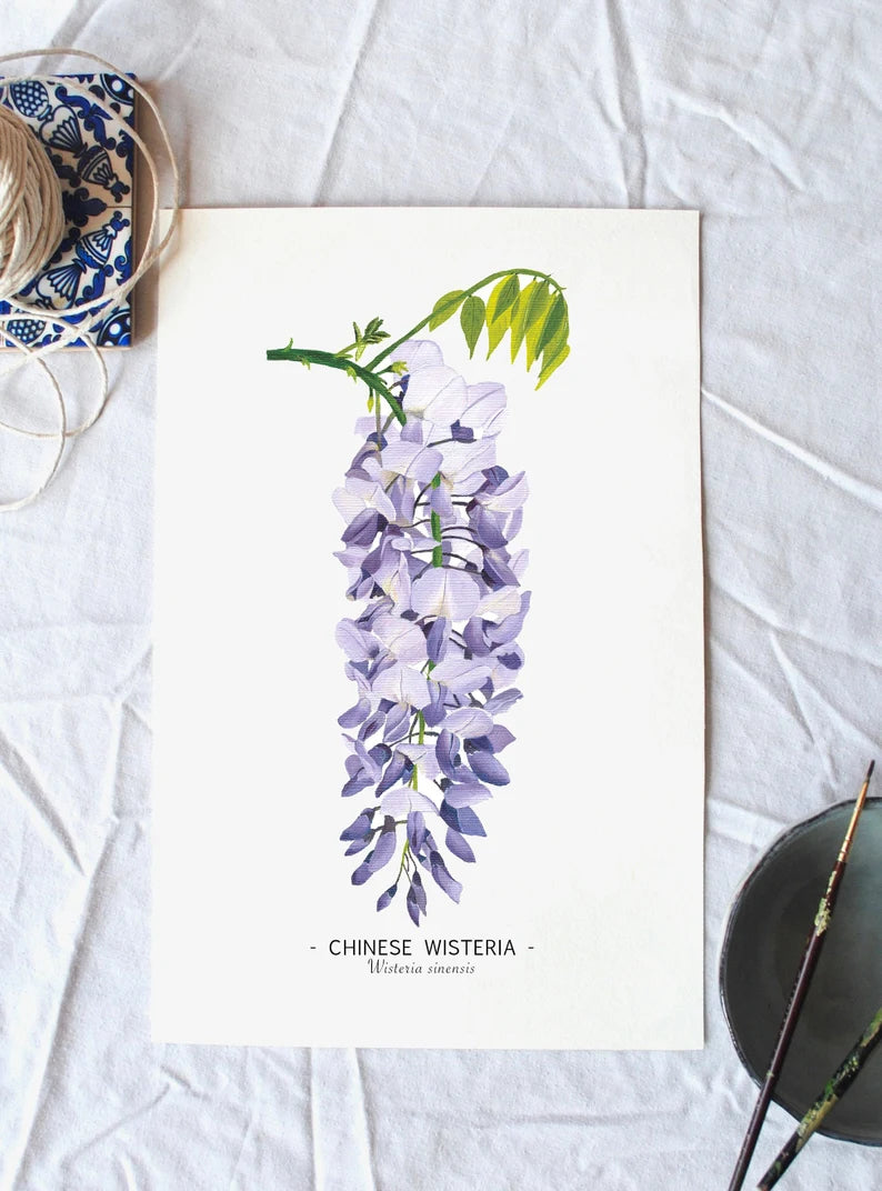 Wisteria print