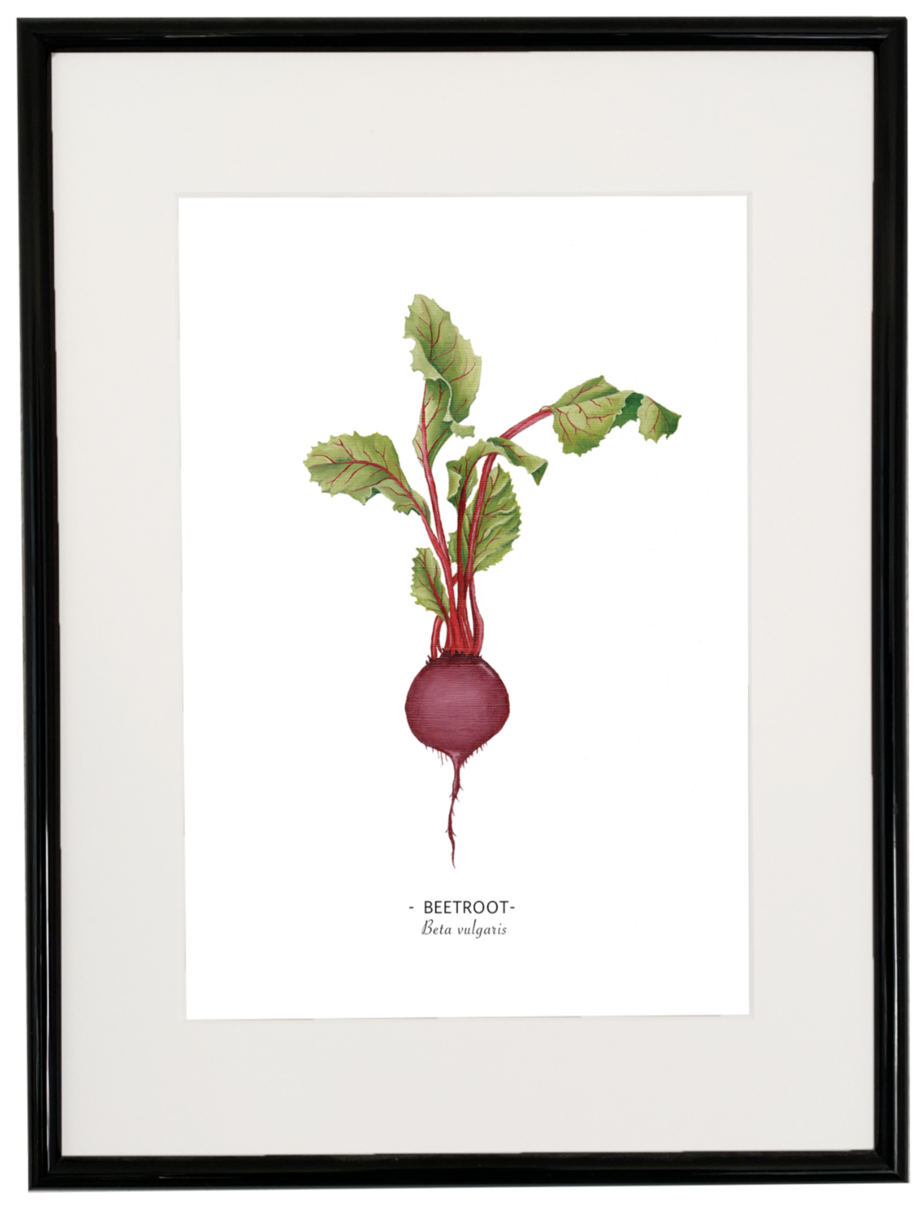 Beetroot print