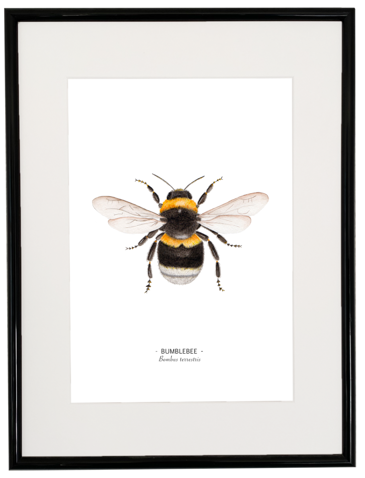 Bumblebee print