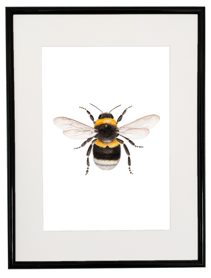 Bumblebee print