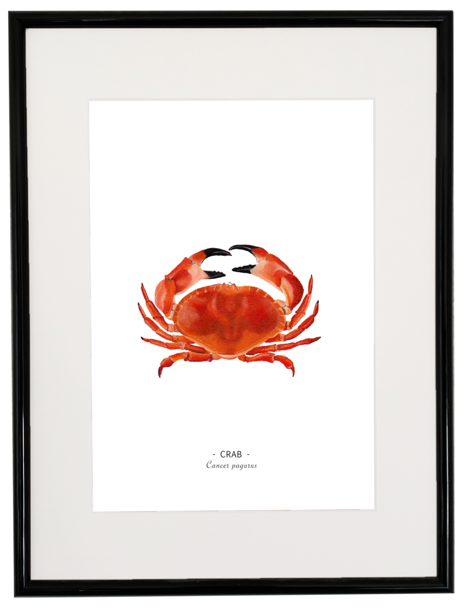 Crab print