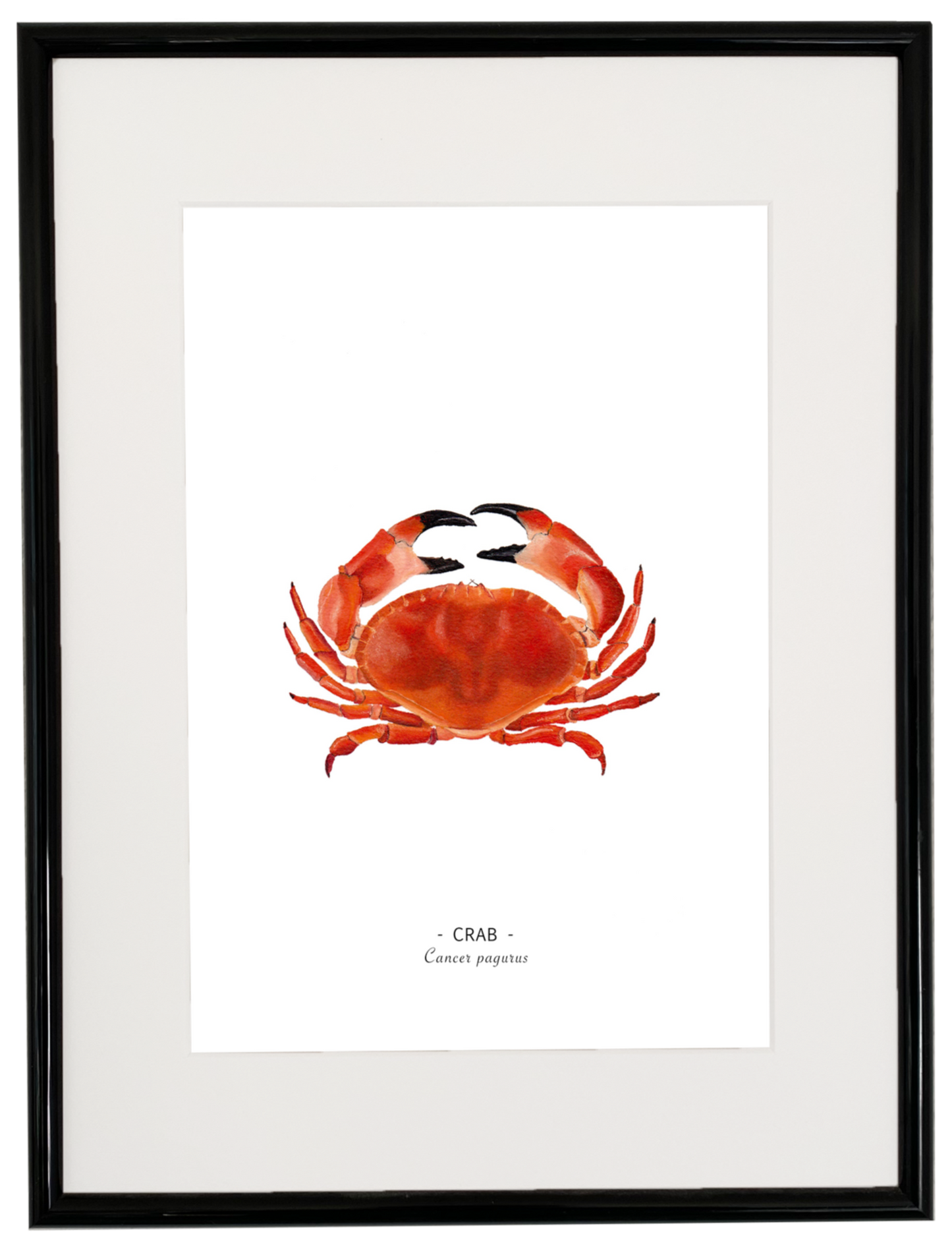 Crab print