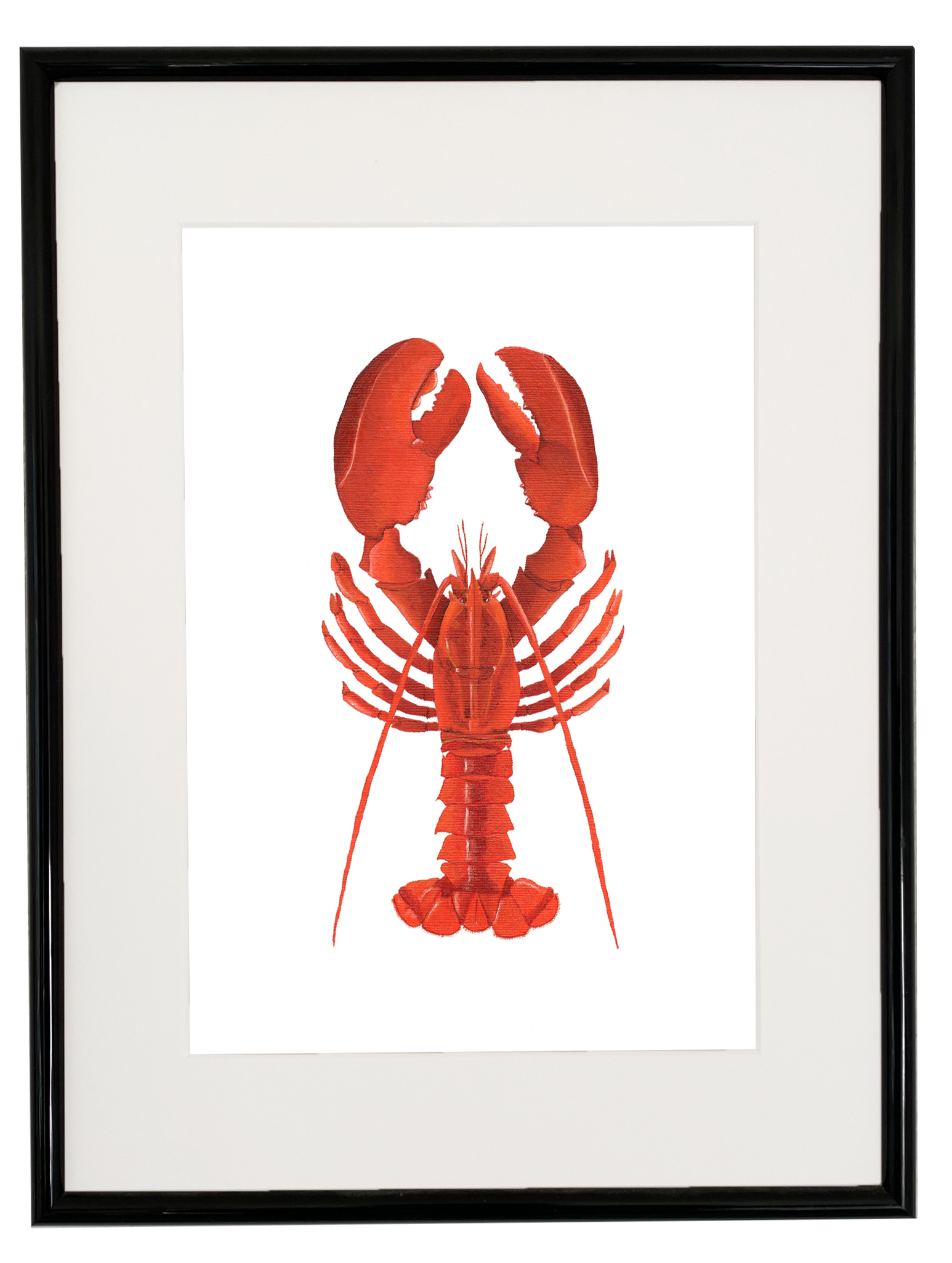 Lobster print