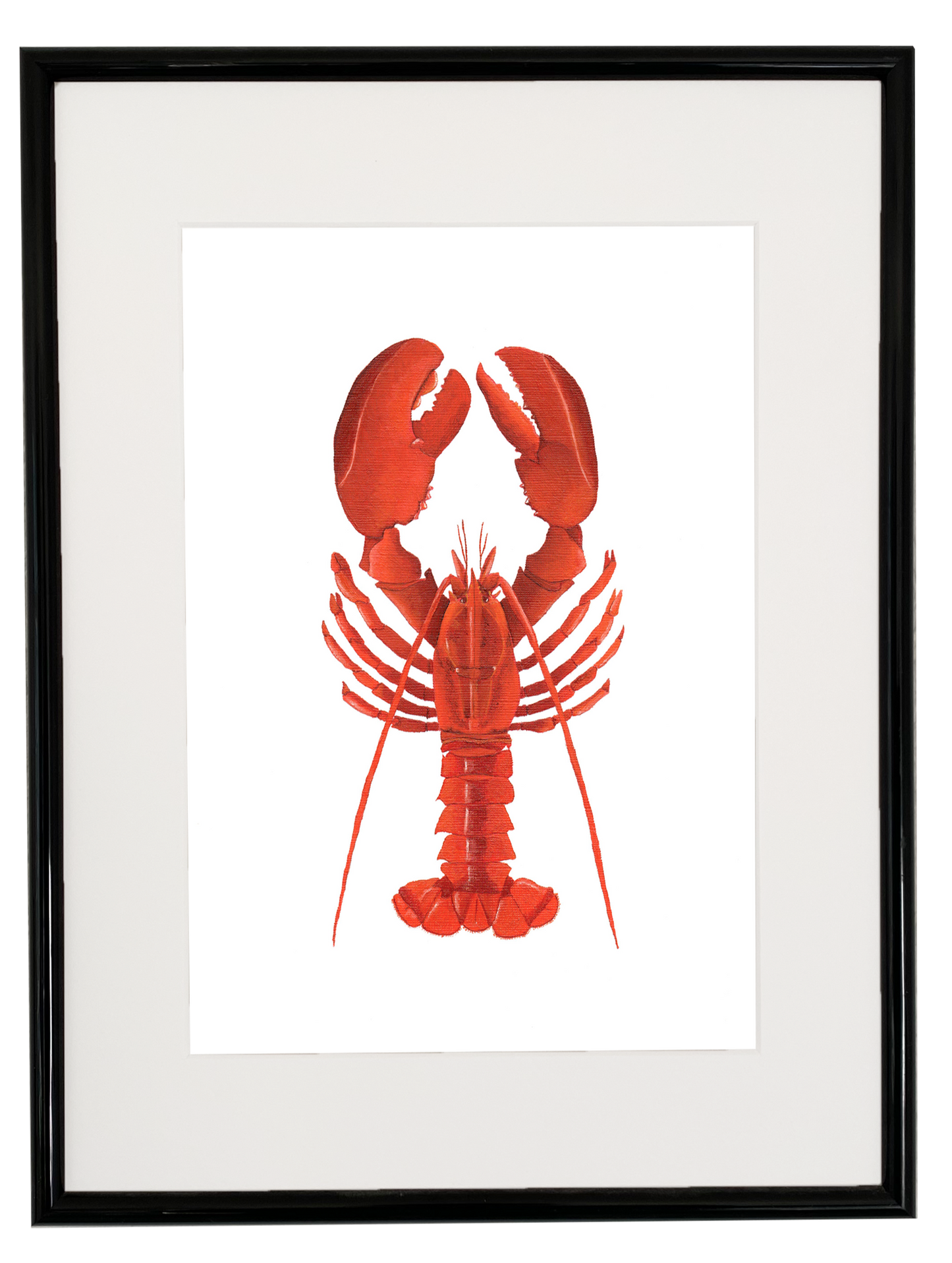 Lobster print