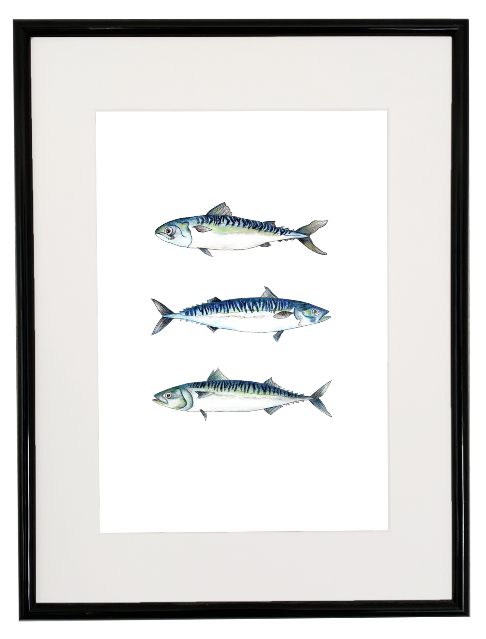 Mackerel Fish print