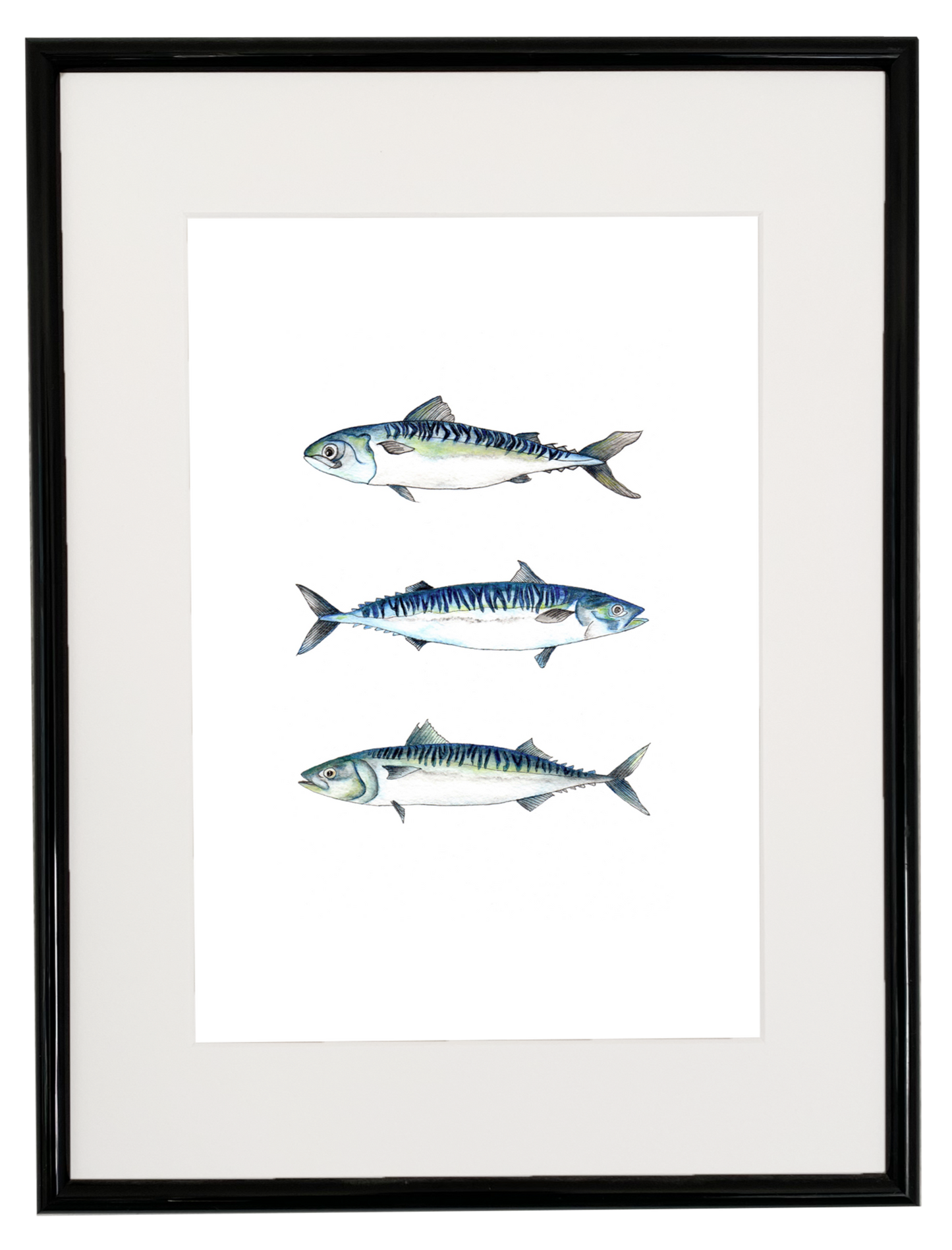 Mackerel Fish print