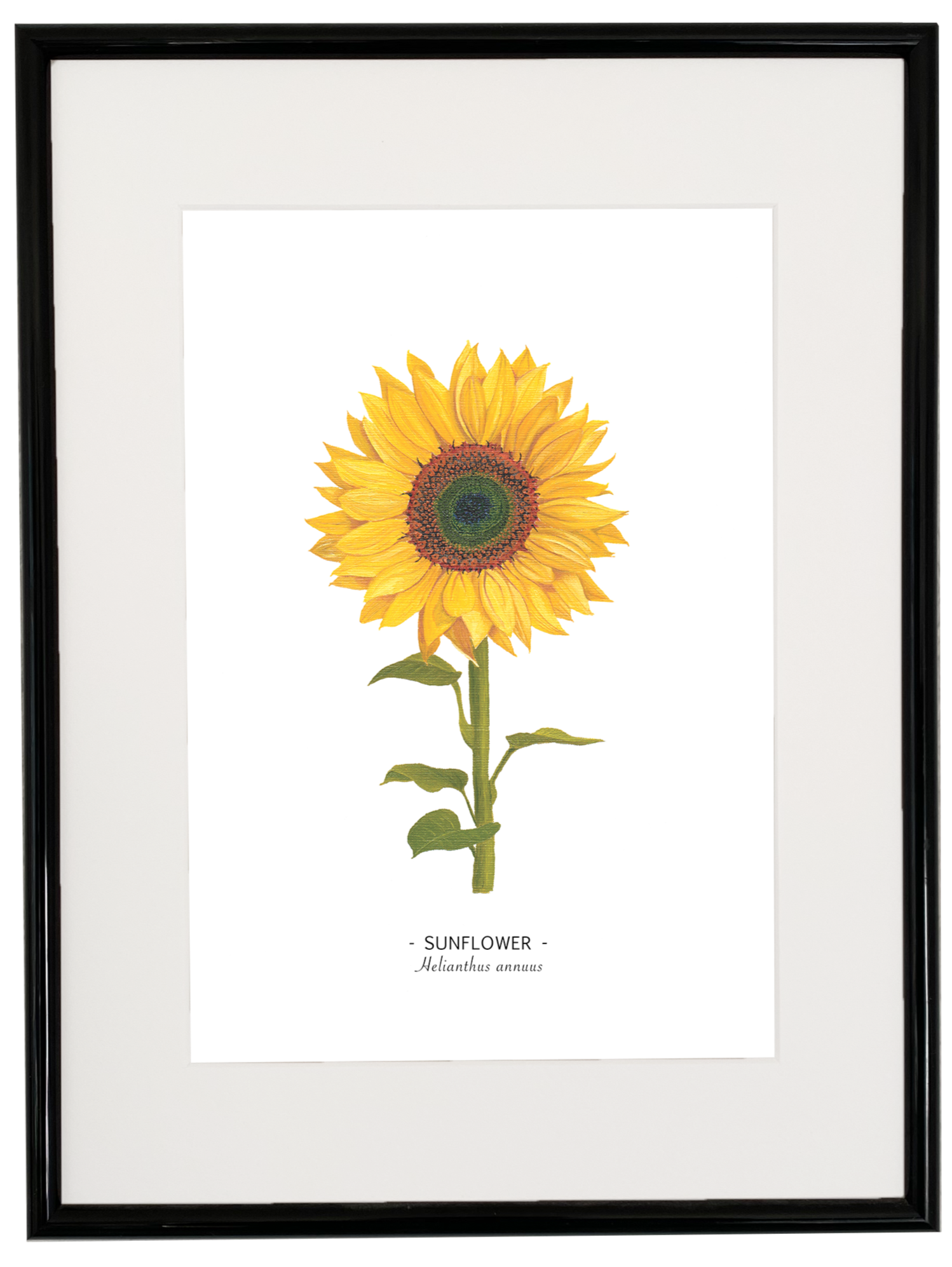 Sunflower print