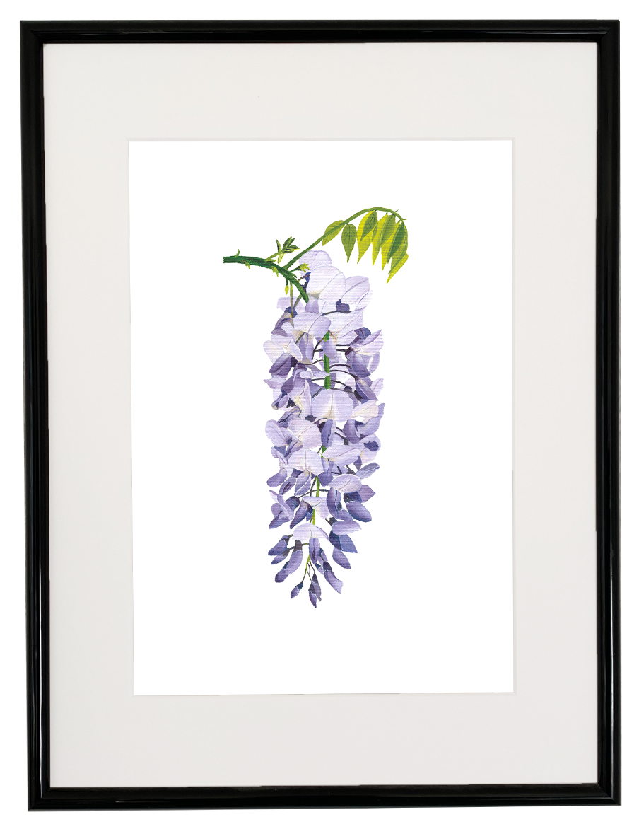 Wisteria print