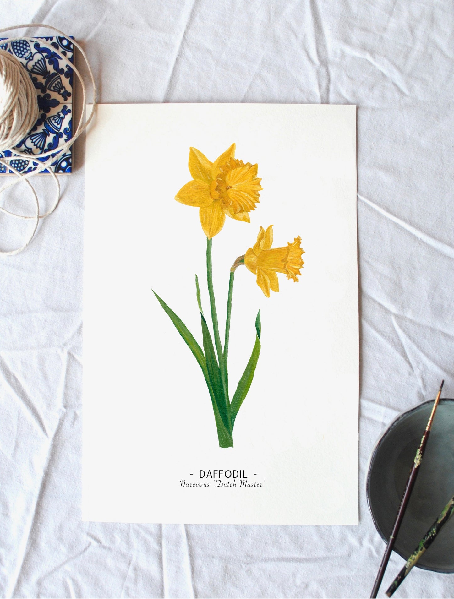 Daffodil print