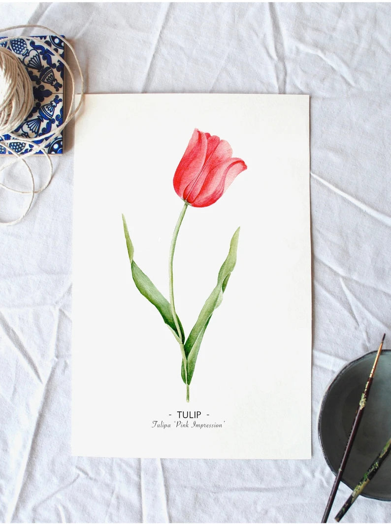 Tulip print